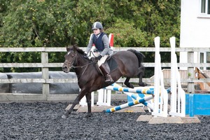 Class 4 - Fences 2'3 to 2'6